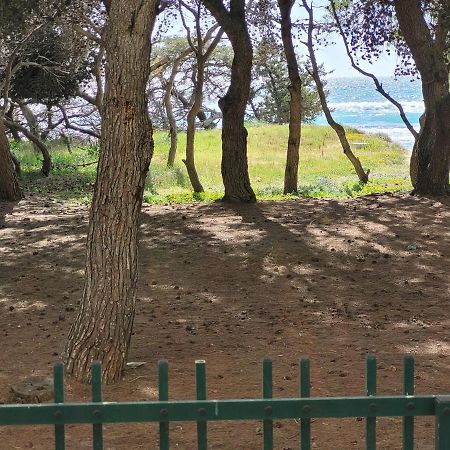Apartmán Fronte Pineta Mare Rivabella Exteriér fotografie