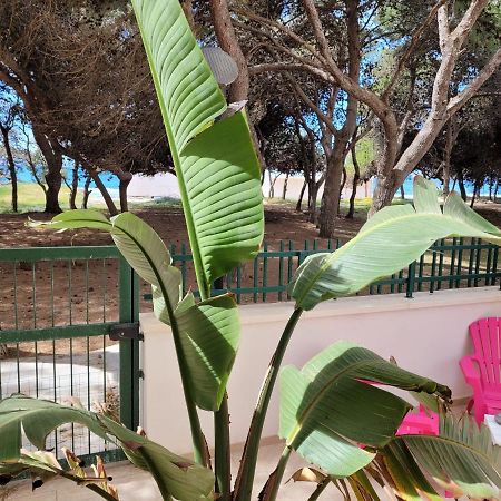 Apartmán Fronte Pineta Mare Rivabella Exteriér fotografie