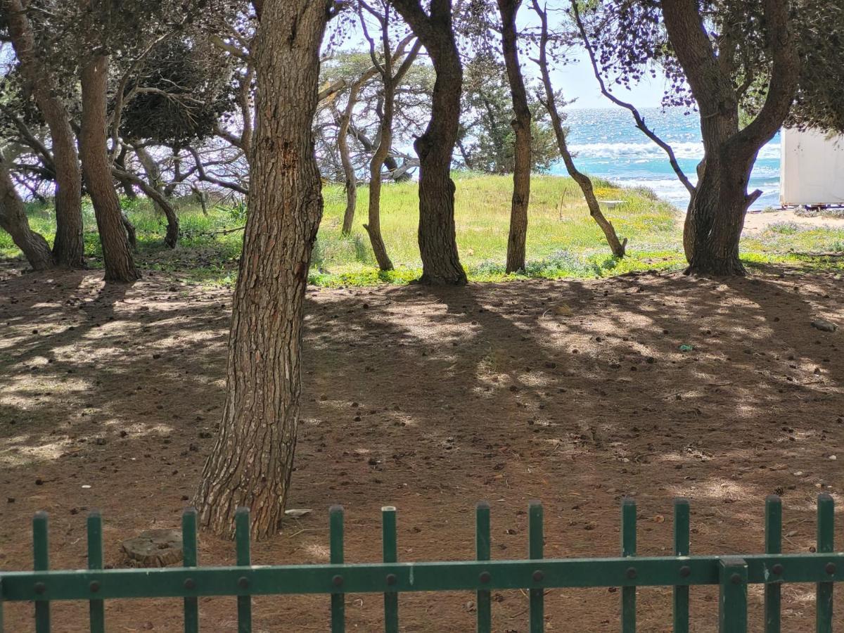 Apartmán Fronte Pineta Mare Rivabella Exteriér fotografie