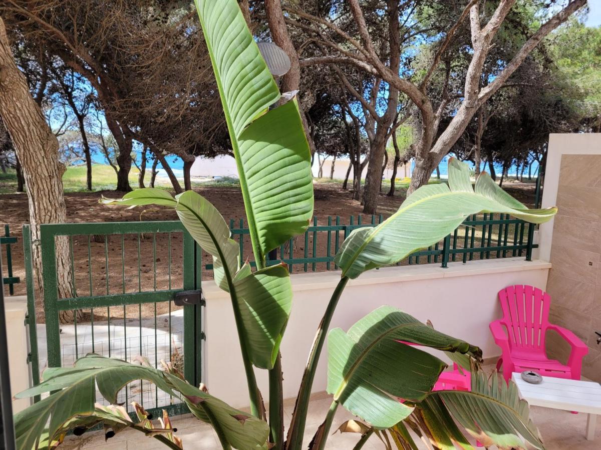 Apartmán Fronte Pineta Mare Rivabella Exteriér fotografie