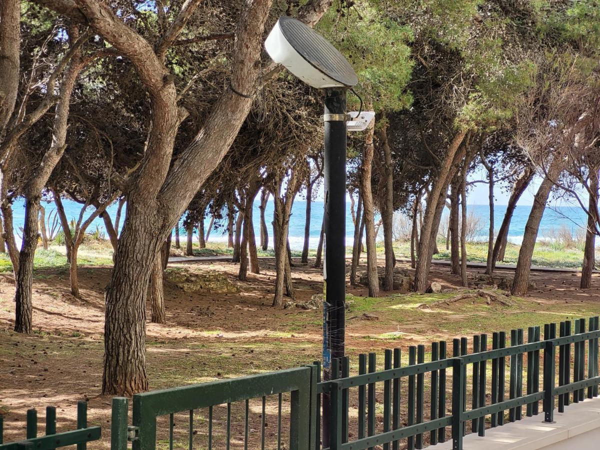 Apartmán Fronte Pineta Mare Rivabella Exteriér fotografie