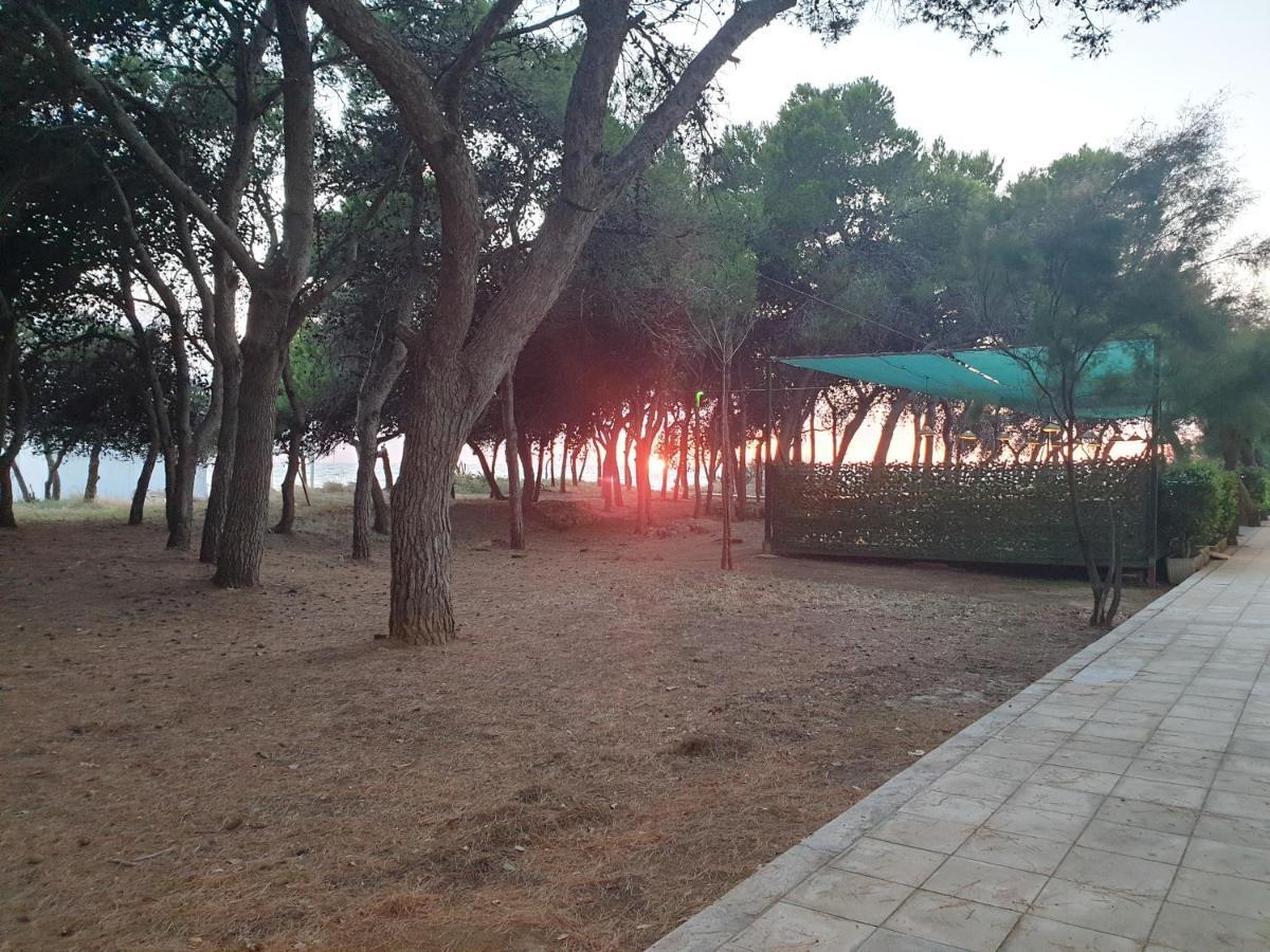 Apartmán Fronte Pineta Mare Rivabella Exteriér fotografie